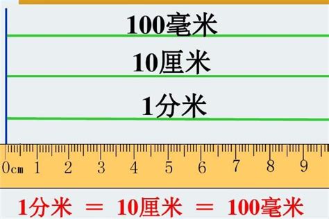 一cm|厘米（长度计量单位）